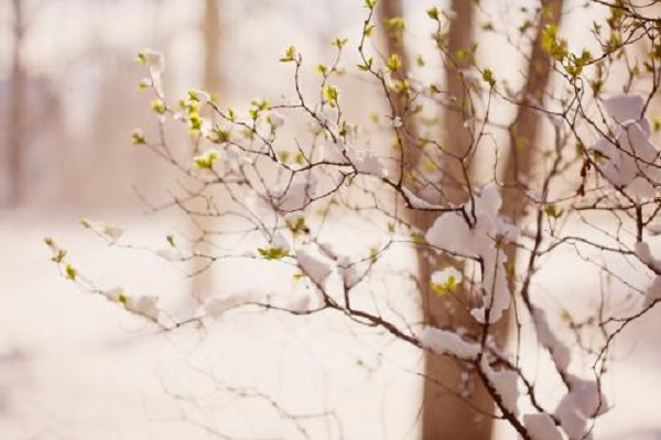 注冊(cè)香港公司