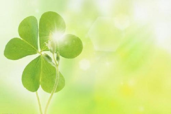 長沙商標(biāo)注冊