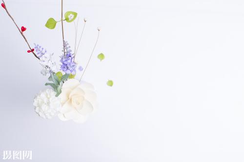 公司資信證明、銀行