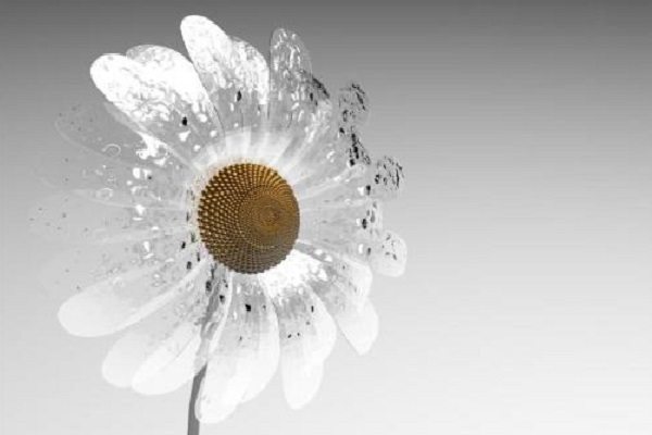 商標(biāo)抵押、公司融資